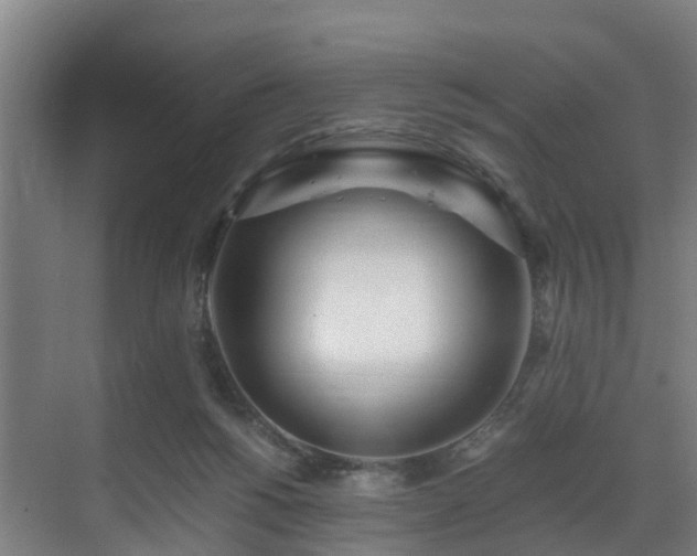 X0000071350168200606261351