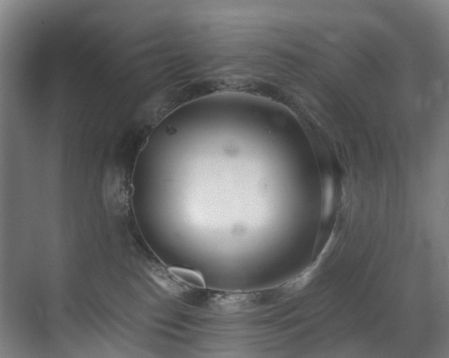 X0000071350186200606261351