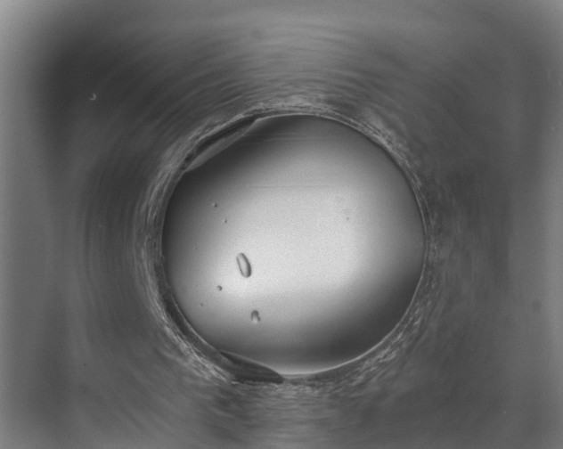 X0000071350193200606261350