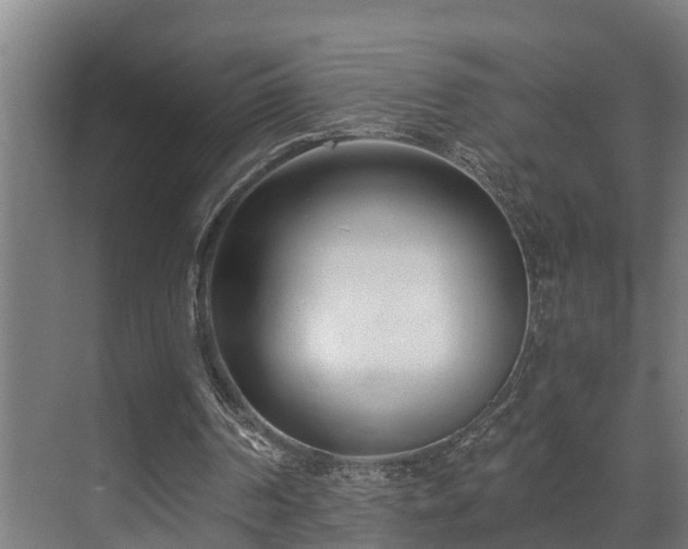 X0000071350194200606261350