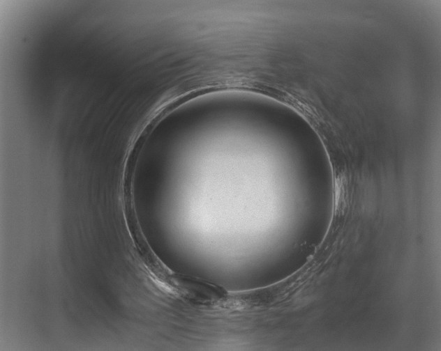 X0000071350195200606261350