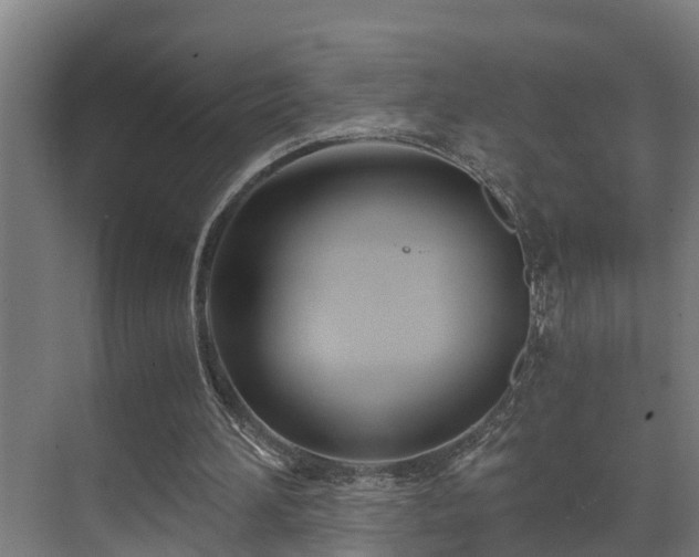 X0000071350196200606261350