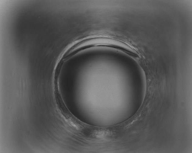 X0000071350200200606261350