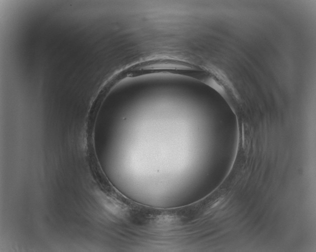 X0000071350204200606261350