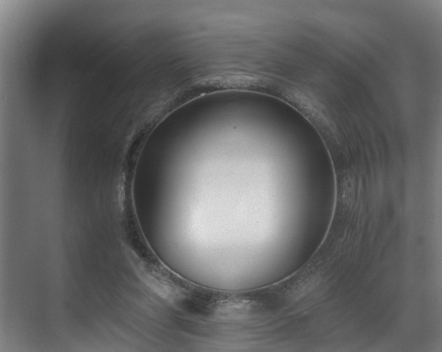 X0000071350206200606261350