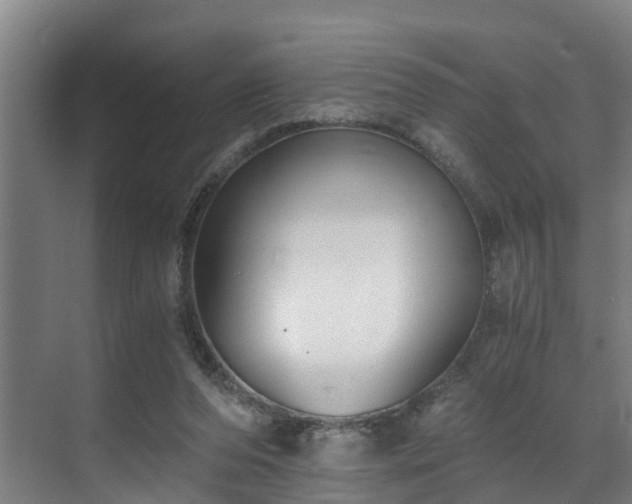 X0000071350208200606261350