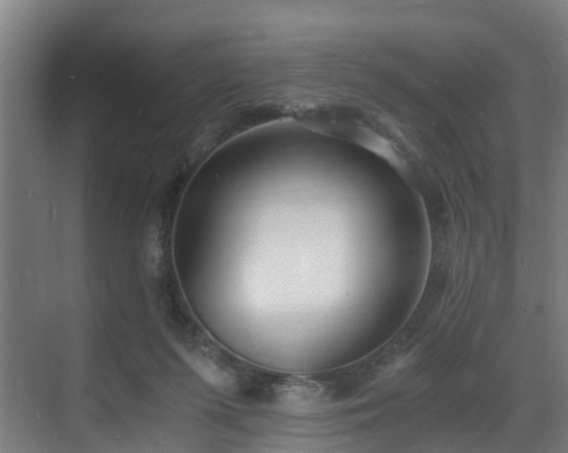 X0000071350215200606261350