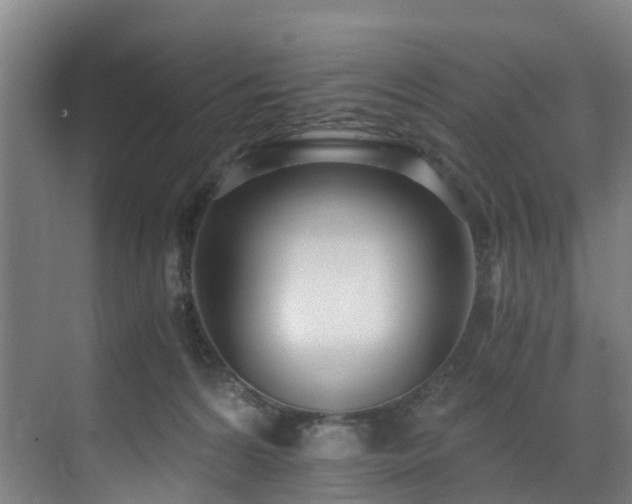 X0000071350224200606261350