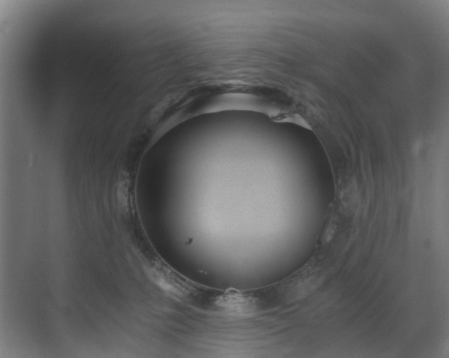 X0000071350231200606261350