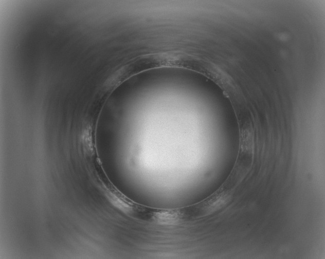 X0000071350238200606261350