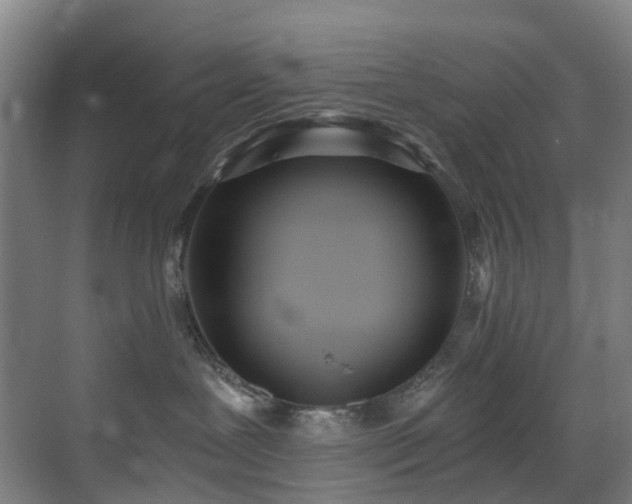 X0000071350239200606261350