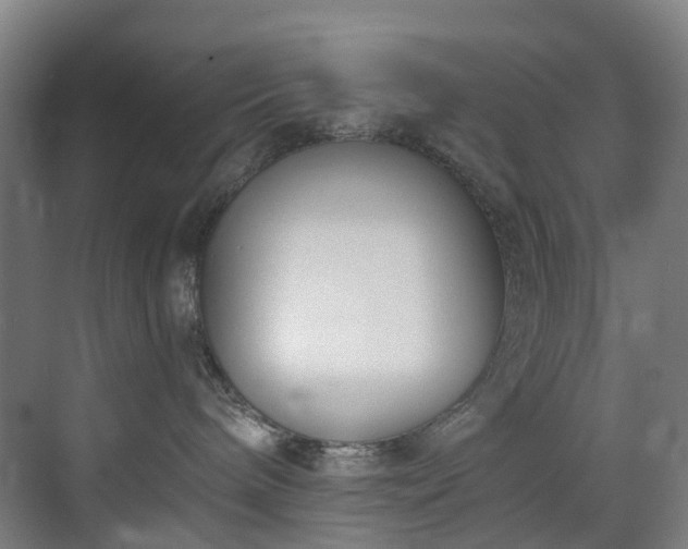 X0000071350240200606261350