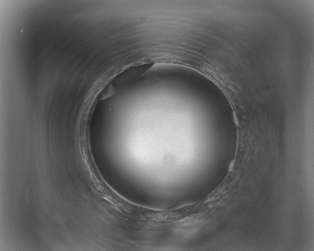 X0000071350241200606261349