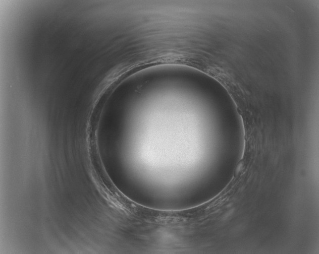 X0000071350242200606261349