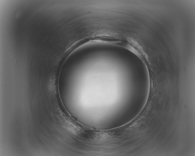 X0000071350249200606261349