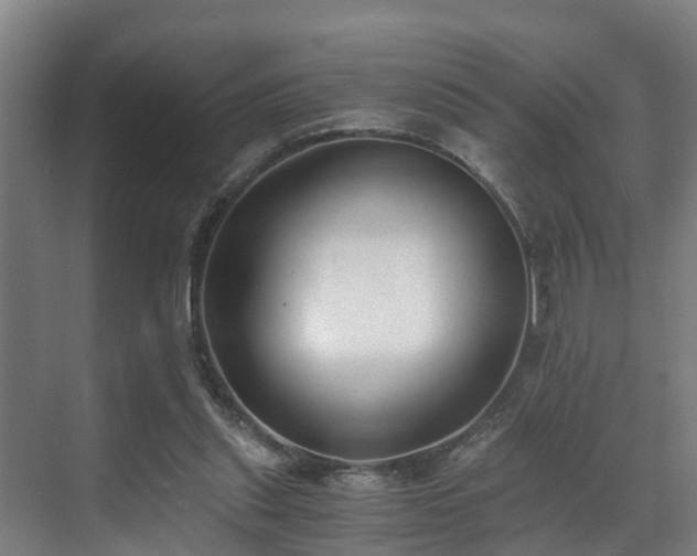 X0000071350253200606261349