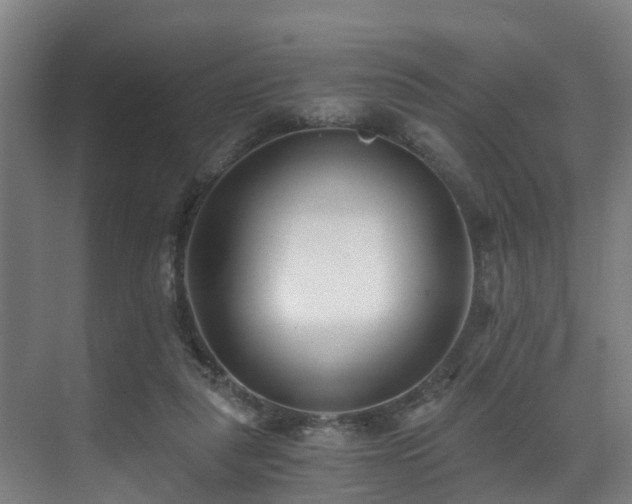 X0000071350259200606261349