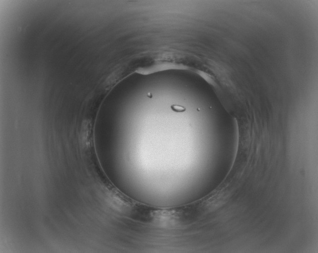 X0000071350273200606261349