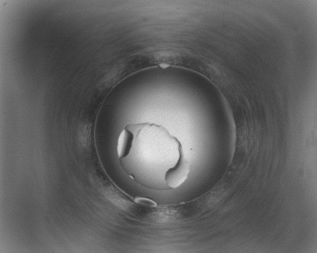 X0000071350278200606261349