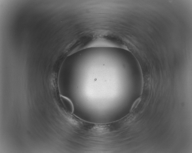 X0000071350280200606261349