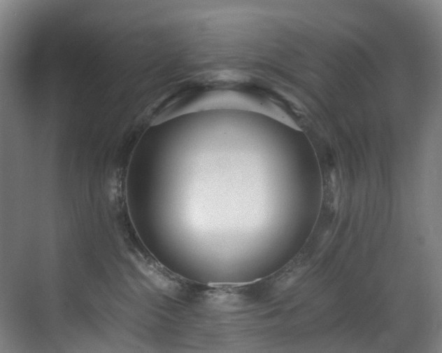 X0000071350284200606261350