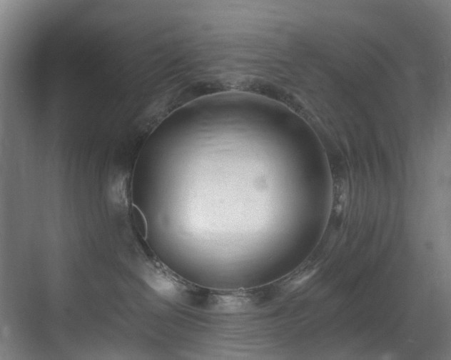 X0000071350286200606261350