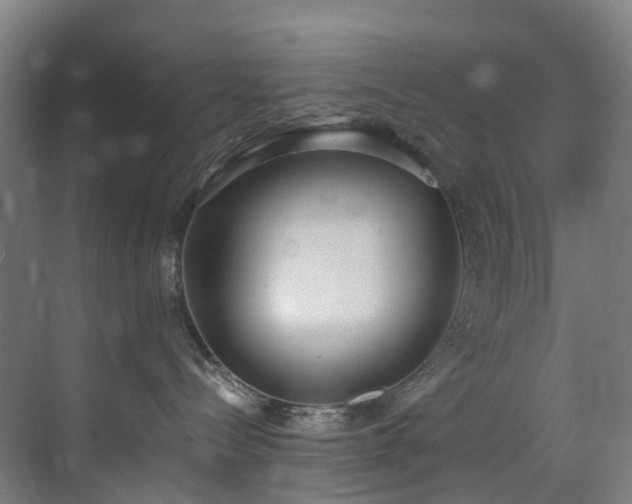 X0000071350288200606261350