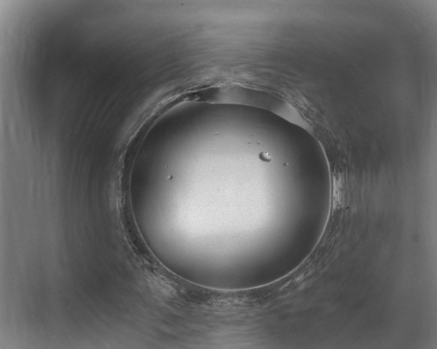 X0000071350291200606261349