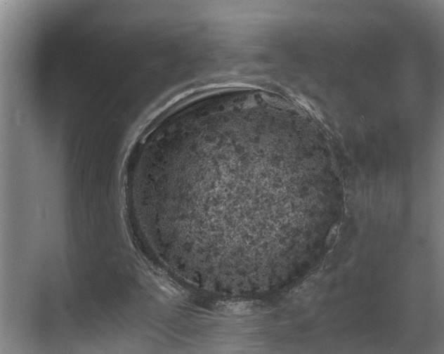 X0000071350295200606261349