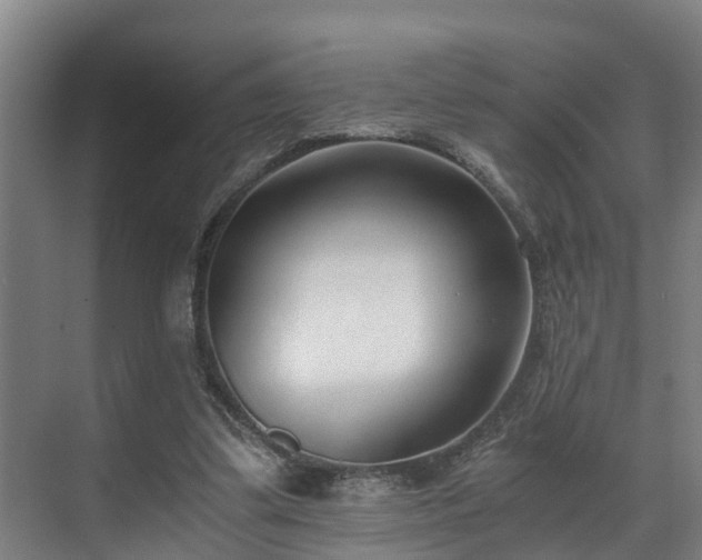 X0000071350299200606261349