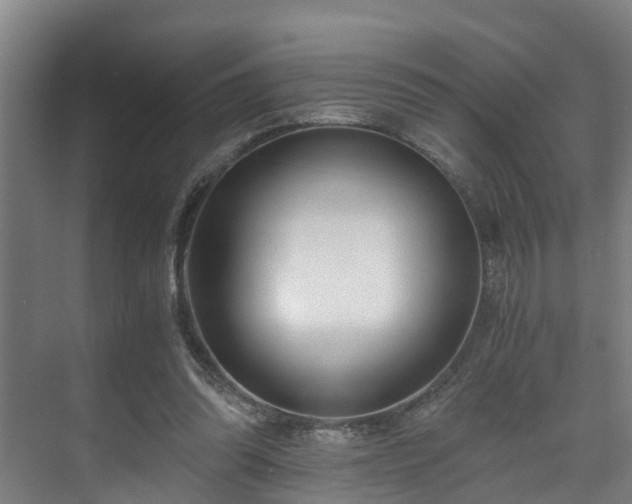 X0000071350302200606261349