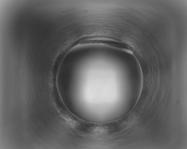 X0000071350303200606261349