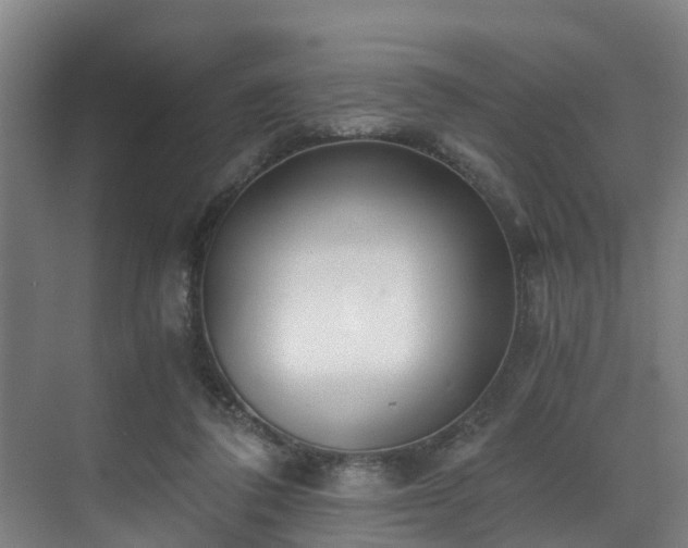 X0000071350308200606261348