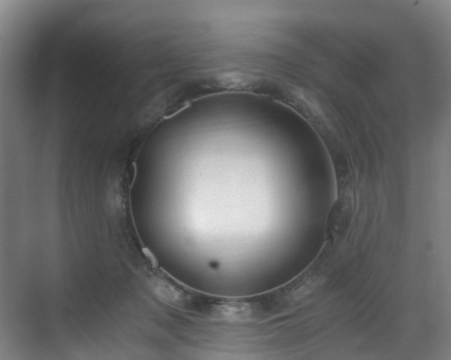 X0000071350317200606261348