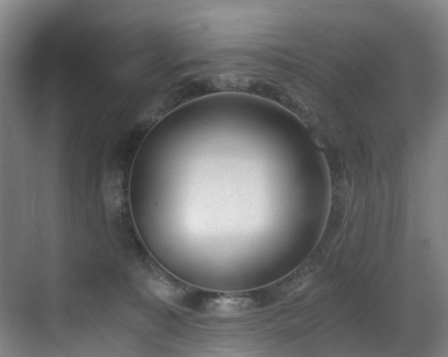 X0000071350323200606261348