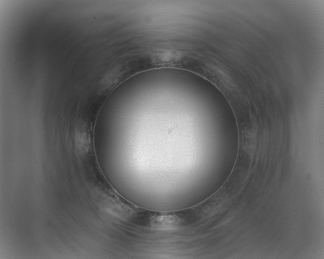 X0000071350324200606261348