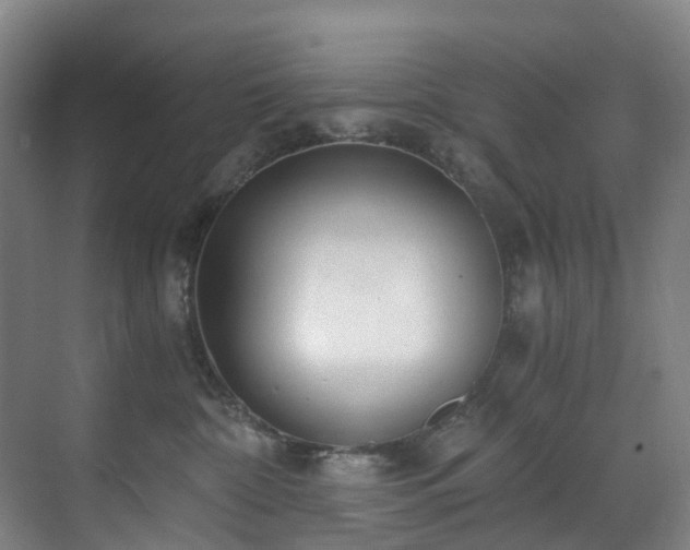 X0000071350332200606261348