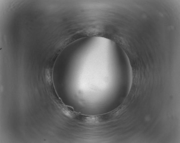 X0000071350335200606261348