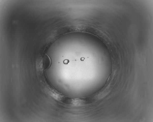 X0000071350336200606261348