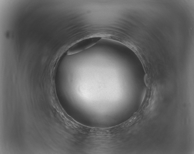 X0000071350337200606261347