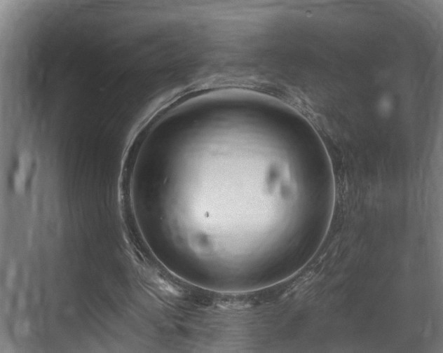 X0000071350340200606261347