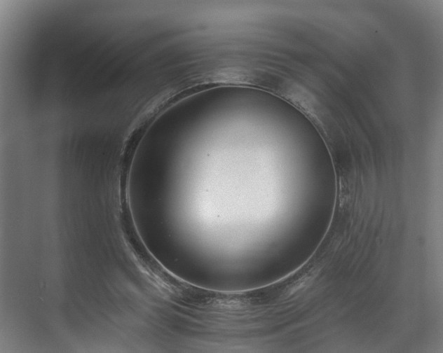 X0000071350349200606261347