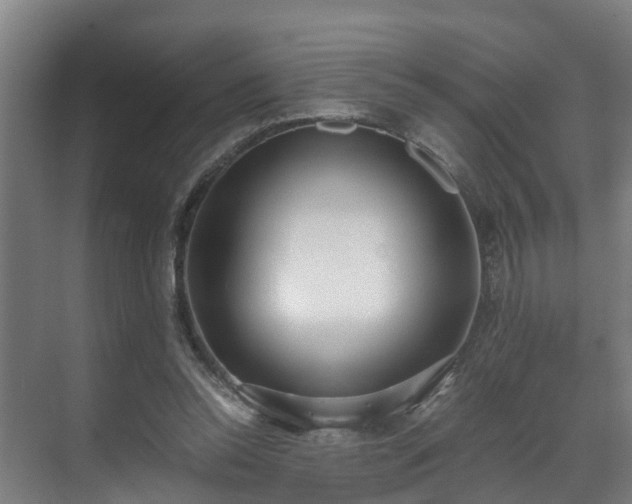 X0000071350350200606261347