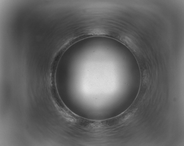 X0000071350351200606261347