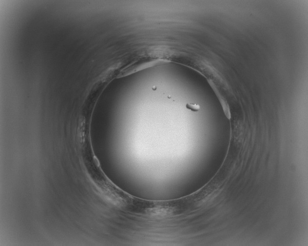 X0000071350356200606261348