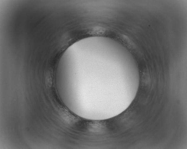 X0000071350370200606261348