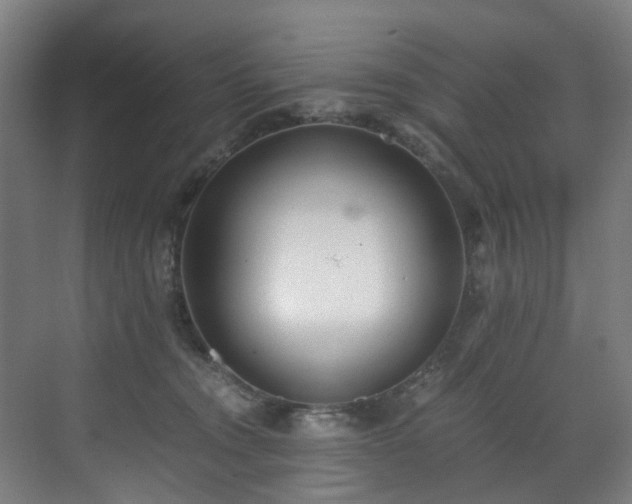 X0000071350372200606261348