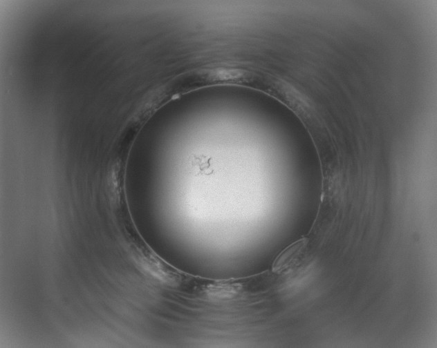 X0000071350373200606261348