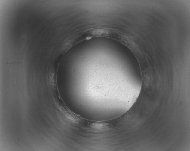 X0000071350375200606261348