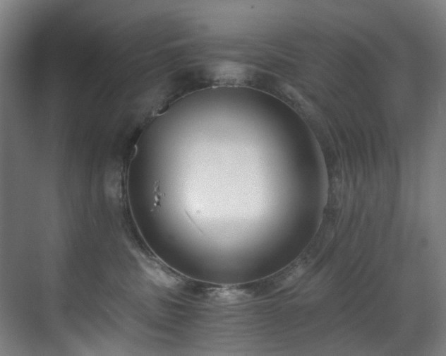 X0000071350379200606261348